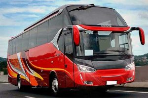 bus pariwisata