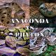 Ular Anaconda dan Phyton