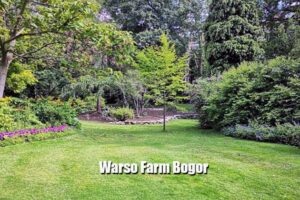 Warso Farm Bogor