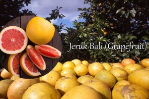 jeruk bali (grapefruit)