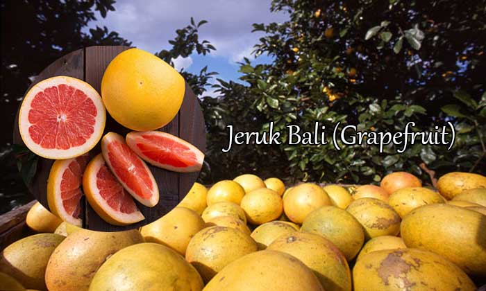 jeruk bali (grapefruit)