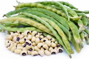 black eyed pea