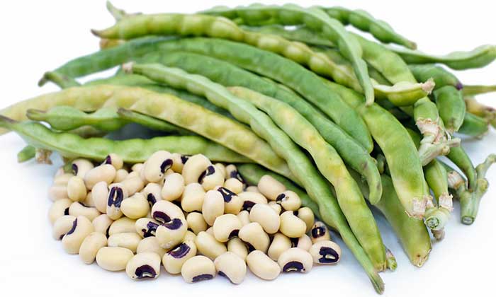 black eyed pea